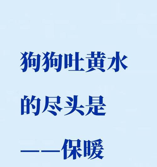 狗狗为什么经常吐黄水（探究狗狗呕吐胆汁的原因及应对方法）
