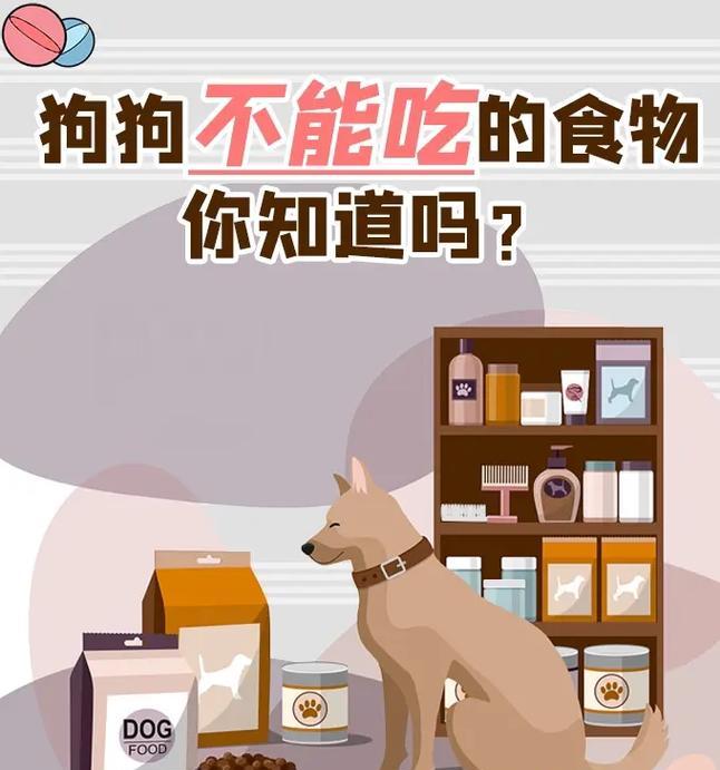 狗狗为什么不能吃红枣（了解狗狗饮食禁忌，避免给宠物带来伤害）