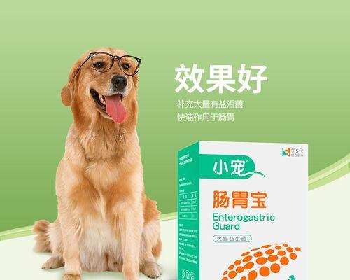 泰迪狗细菌性肠炎的治疗药物选择（药物疗法对泰迪狗细菌性肠炎的有效性与注意事项）