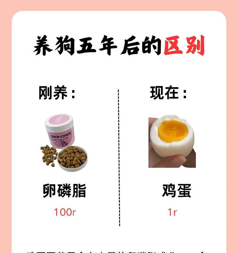 狗咳嗽是什么情况？（了解狗咳嗽的病因与治疗方法）