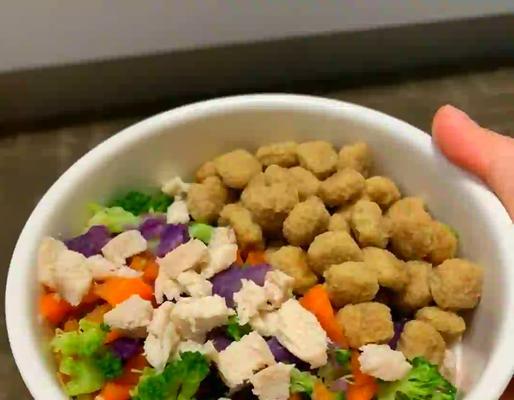 狗术后饮食指南（给你的宠物提供适当的食物和护理是恢复健康的关键）