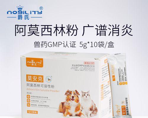 狗狗感冒怎么办？（选择合适的药物缓解狗狗的不适）
