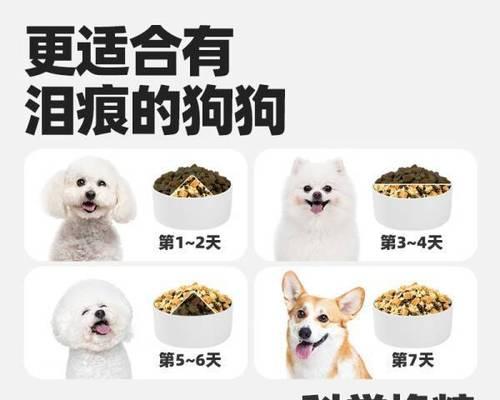 小狗泪痕重如何解决（探讨小狗泪痕重的原因及解决方法）