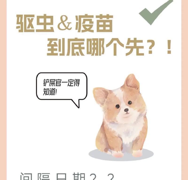 幼狗驱虫后的饮食禁忌（幼狗驱虫后禁止食用的食物种类及原因）