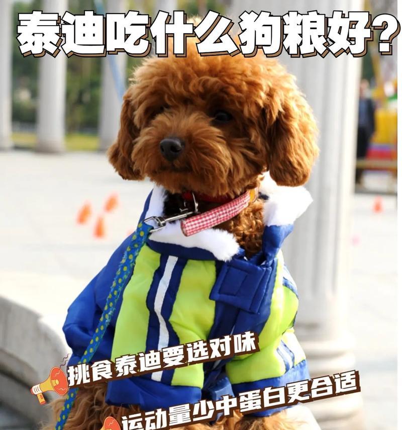 宝贝泰迪四个月大了，该吃什么？（宝贝泰迪饮食营养需求解析，健康成长从饮食开始）