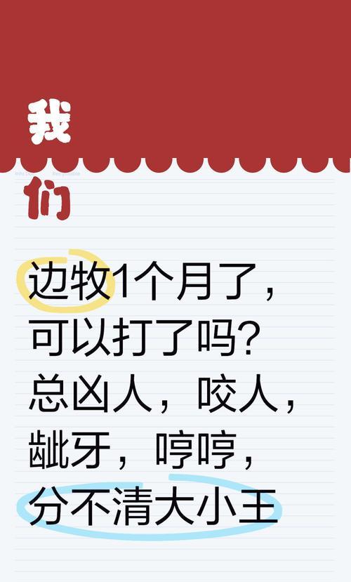 狗狗打完针后的护理和注意事项（保证狗狗健康，提醒主人注意打针后的细节）
