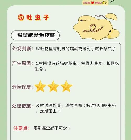 猫咪的挑食问题（猫咪挑食的原因及如何解决）