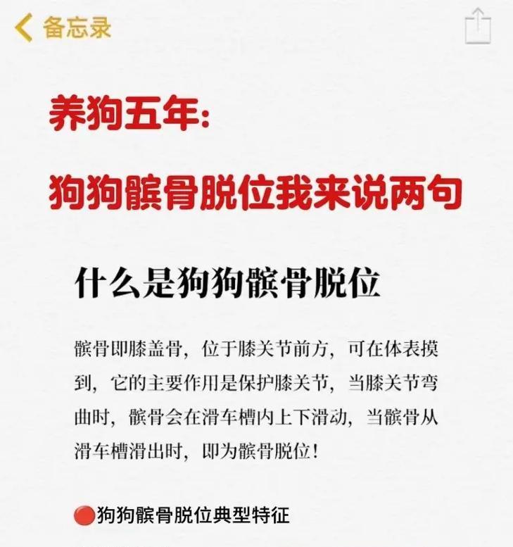泰迪髌骨脱位的原因与治疗方法（探索泰迪宠物髌骨脱位的诱因及应对之道）