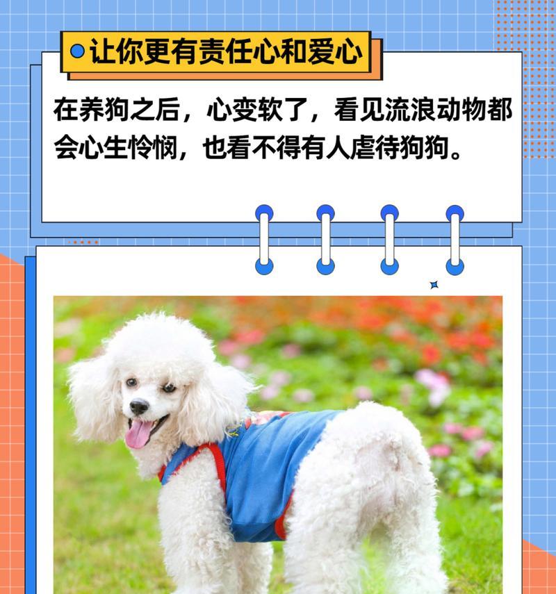 养狗的好处（拥有一只可爱的狗狗，带给你的生活乐趣和健康）