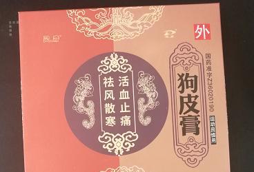 以犬康——改善宠物犬健康的综合治疗方式（全面护理宠物犬，让它们更健康快乐）