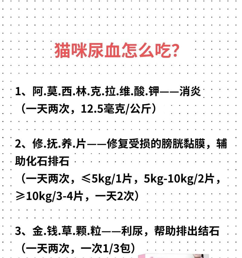 猫全身发红的原因及应对方法（探索猫咪全身发红的种种原因以及解决之道）