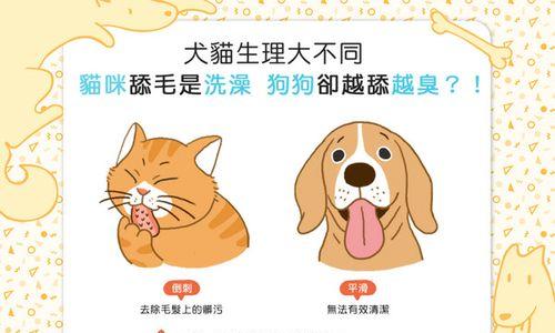 小狗舌头臭的原因及处理方法（了解小狗口臭的原因，保持宠物口腔健康）