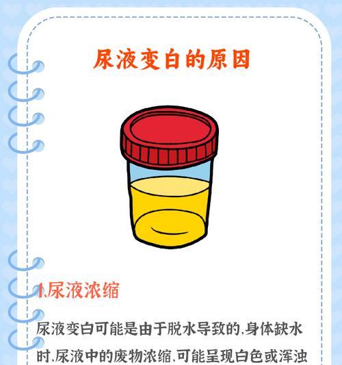 尿液颜色代表什么？（从黄色到红色，看尿液颜色的健康信息）