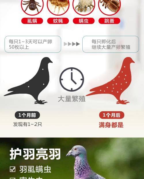 防止寄生虫的有效方法（保护自己免受寄生虫的侵害，尽在身上喷洒防护剂）