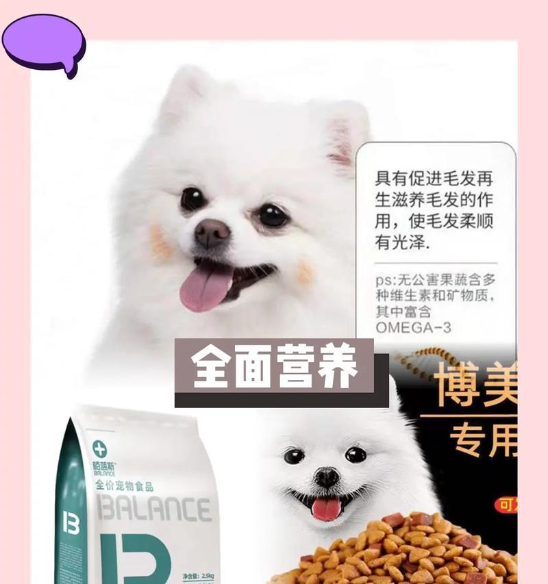 白色狗狗美毛大全（白色狗狗如何通过饮食保持毛发亮丽）