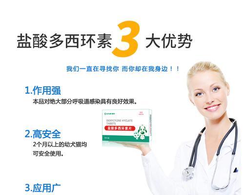 如何处理泰迪两个月半吃了就吐的情况？（给泰迪使用什么药物来缓解吐吐问题？）