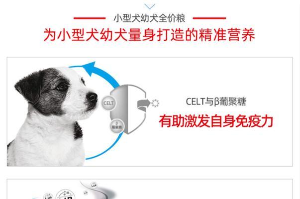 波奇网的快递服务——让购物更便捷（以波奇网为例，探索其快递服务及优势）