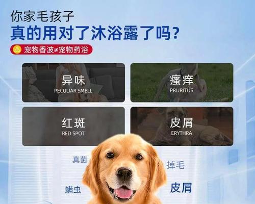 如何为狗狗选择适合的螨虫药浴（选择正确的螨虫药浴，保护你的宠物免受螨虫侵害）