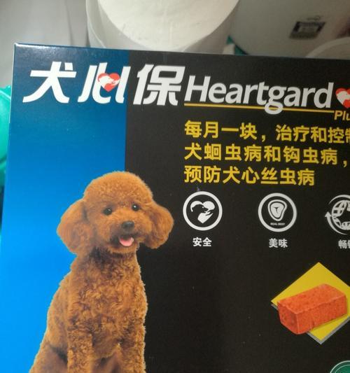 预防以犬心丝虫病，从饮食做起！