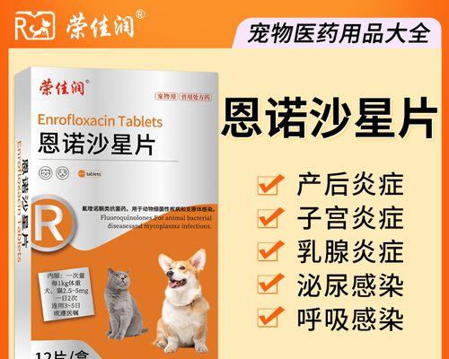 狗的支气管炎治疗药物指南（针对狗的支气管炎，选择合适药物进行治疗的关键）