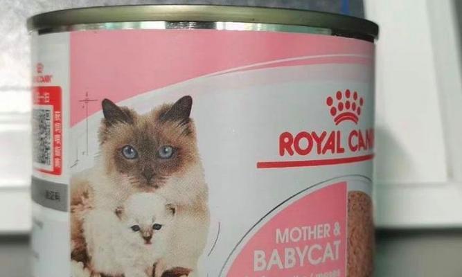 猫咪的美食盛宴（让猫咪爱上妙鲜包的五大理由）
