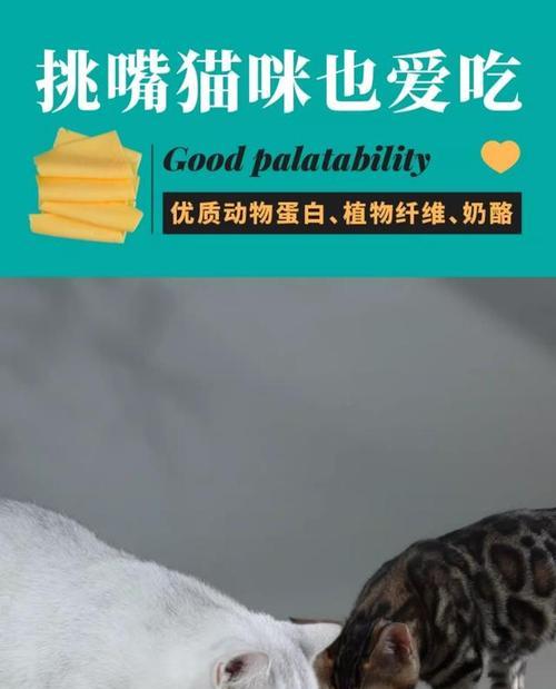 猫猫的饮食需求与喂养技巧（营养均衡是关键，干湿搭配为佳）