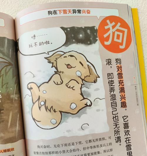 八哥犬的饮食需求及合理安排（为您详解八哥犬的食物选择与用量）