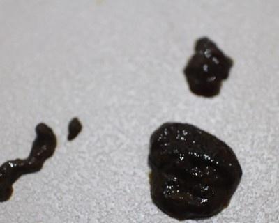 为什么狗的便便会很臭？（探究狗便臭的原因和解决方法）