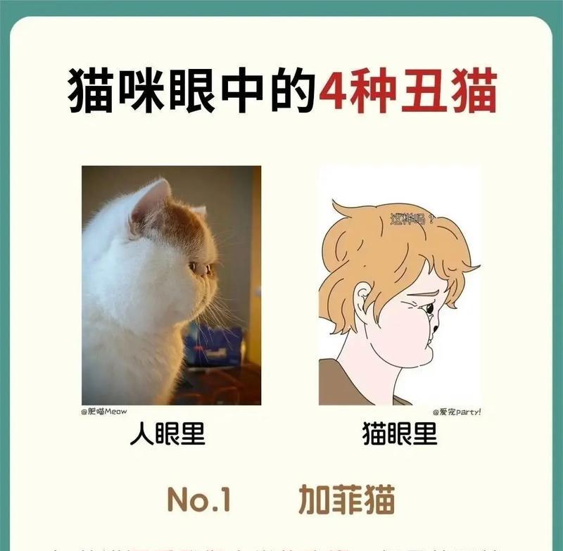 选择猫咪的颜色，要避免这种颜色的猫咪（为什么不能养这种颜色的猫咪？）