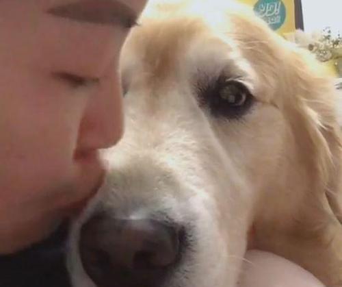 忠诚伴侣（为何狗狗会亲主人？如何建立深厚的亲密关系？）