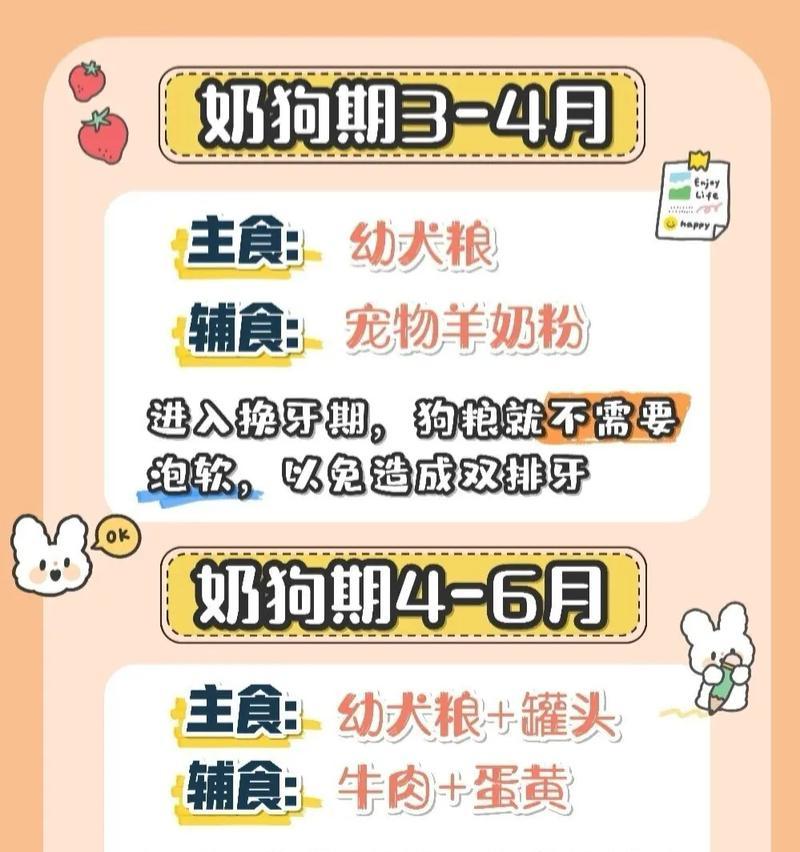 狗狗毛干燥多吃什么？（滋养宠物狗的健康皮毛）