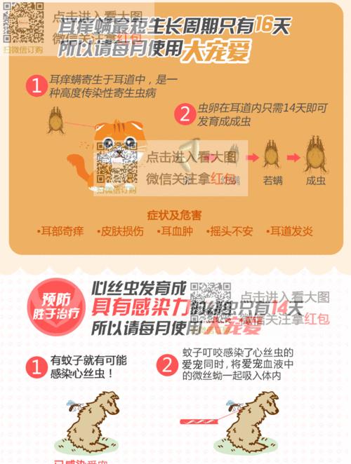 泰迪犬体外驱虫——宠物健康的关键之一（了解泰迪犬体外驱虫的重要性及如何进行有效预防）