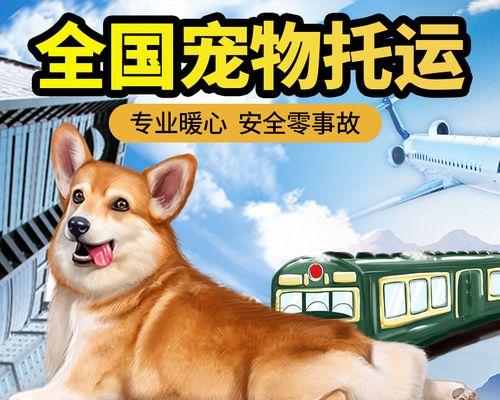 宠物狗运输的必备条件与注意事项（了解宠物狗的需求和准备适当的运输工具）