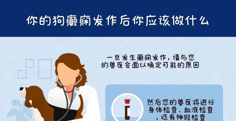 狗狗颠痫的影响及应对方法（狗狗颠痫给宠物和主人带来的困扰和挑战，以及如何应对）