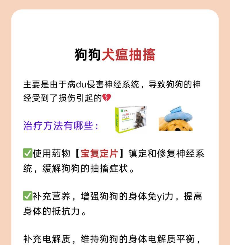 犬瘟时期狗狗的饮食需求（了解狗狗在犬瘟时期的饮食喜好）