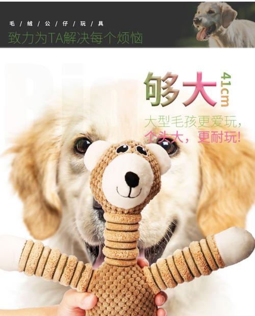 狗狗补充体力的最佳方式（给你的宠物狗输什么来增加体力？）