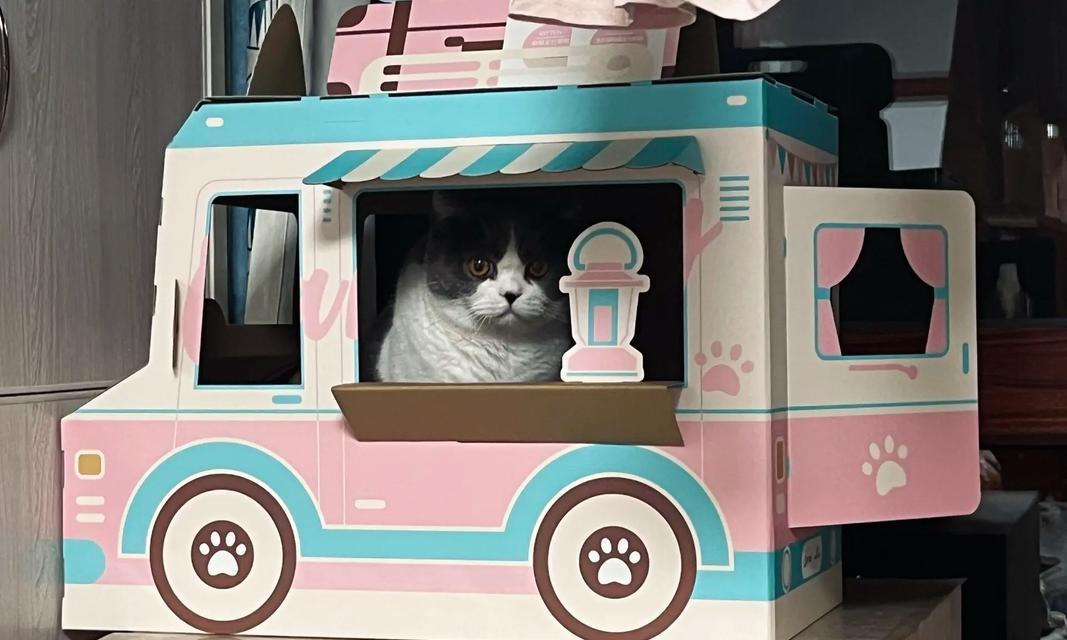 如何选择适合猫咪的玩具（宠物猫的游戏乐园，从玩具开始）