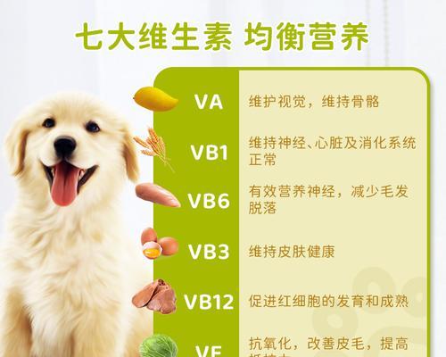 猫的维生素B摄入问题（为猫提供足够的维生素B，健康饮食的关键）