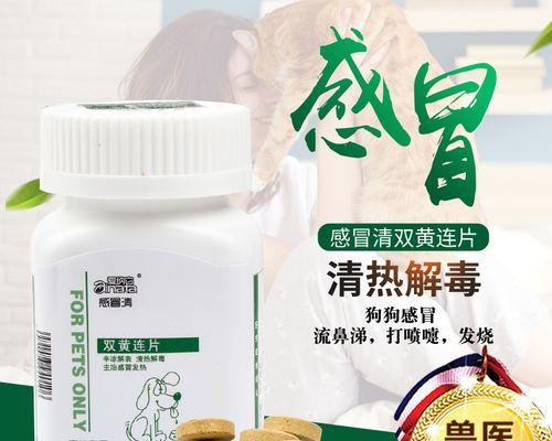 狗狗气喘的药物治疗方案（了解狗狗气喘症状及适用药物，呵护它们的呼吸健康）