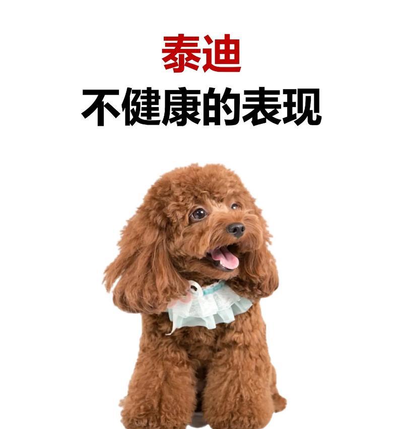 以泰迪生产中的饮食管理（健康饮食与泰迪生产的成功）