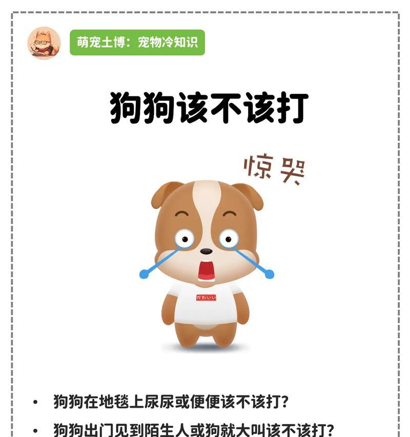 狗狗乱尿的原因及解决方法（探究狗狗乱尿的根源，帮助您有效解决问题）