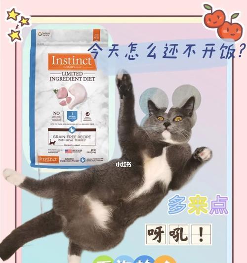 猫的胃如何进入腹腔？（揭秘猫咪消化系统的奥秘）