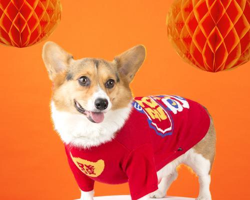 狗狗鼻子为什么是红色？（探究狗狗鼻子颜色之谜）