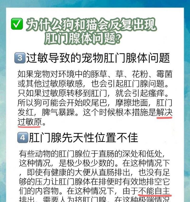 狗狗肛门腺挤压的重要性（了解狗狗肛门腺挤压的时机和方法）