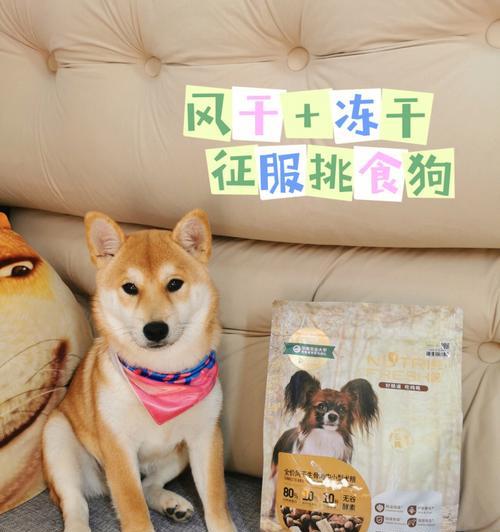 干狗粮的搭配饮食法（为狗狗提供全面均衡的营养）