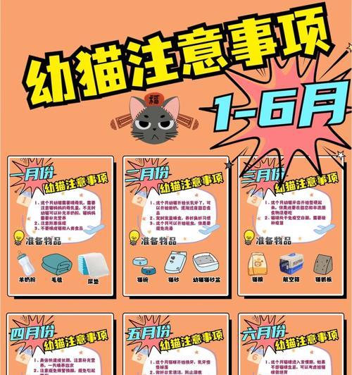 捡回来的猫需要注意的事项（照顾好流浪猫，从这些方面入手）