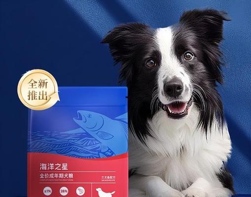 比熊的理想狗粮选择（为你的比熊提供健康与营养的品牌推荐）
