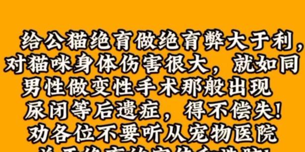 宠物绝育的重要性（关爱宠物，选择绝育）