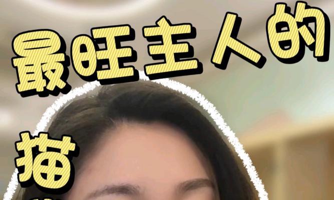 为小猫取名（从性格到外貌，让我们一起为小猫取个恰如其分的名字）
