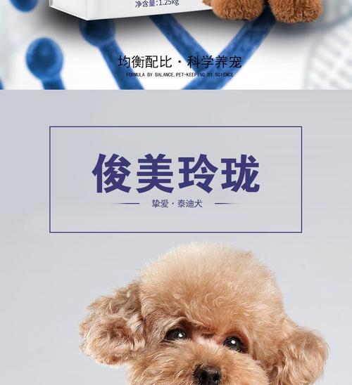 如何给泰迪增肥？（营养丰富的食物是关键！）